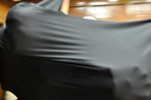 oedipus_copyright2009_bethanymhubbard_0141 Chorus by Bethany Hubbard